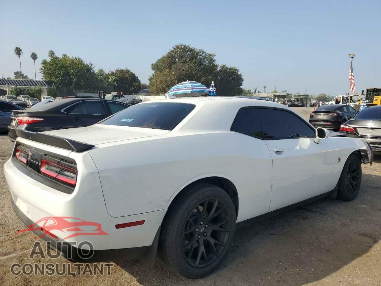 DODGE CHALLENGER 2018 - 2C3CDZFJ2JH334344