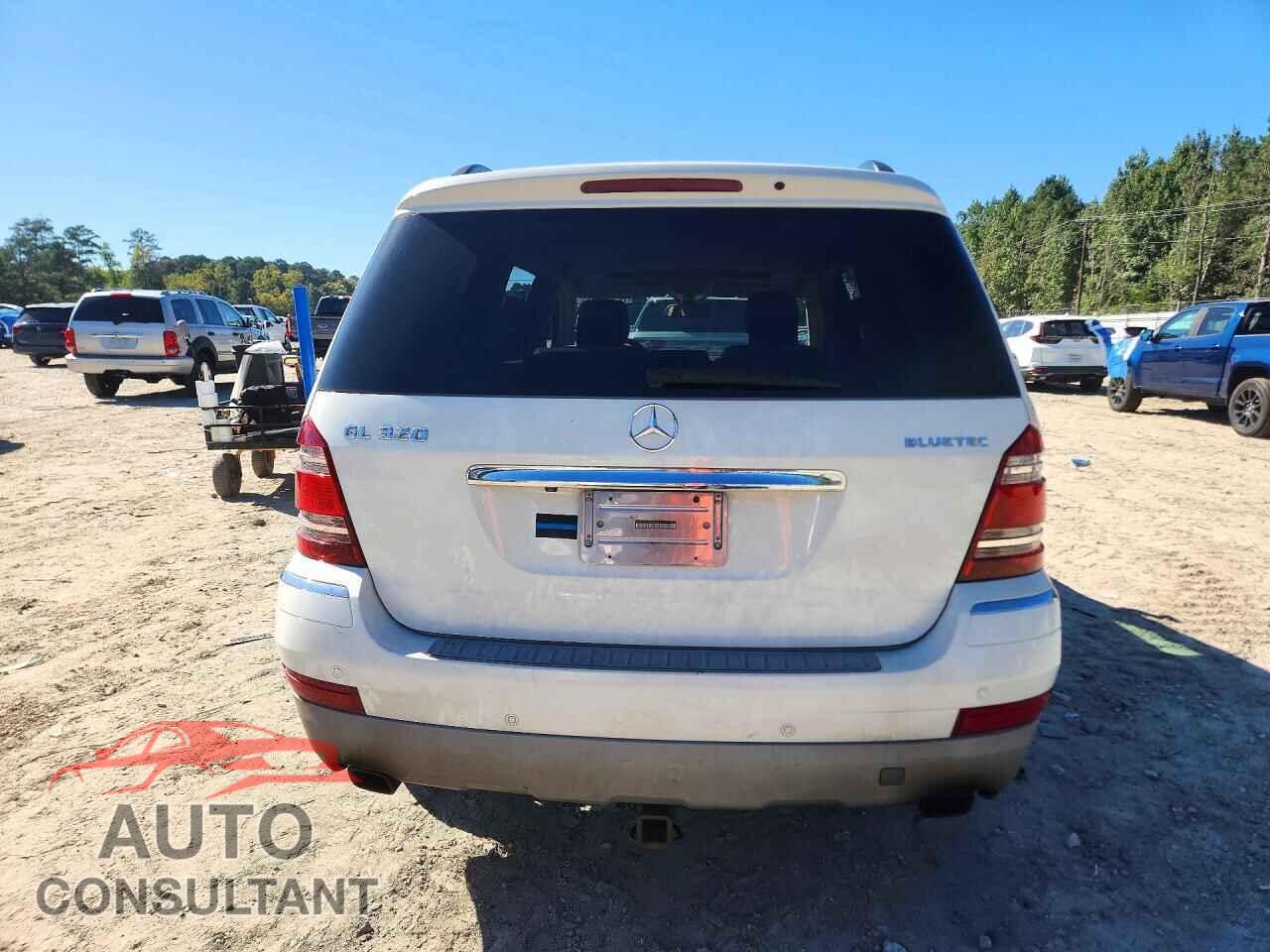 MERCEDES-BENZ GL-CLASS 2009 - 4JGBF25E39A480660