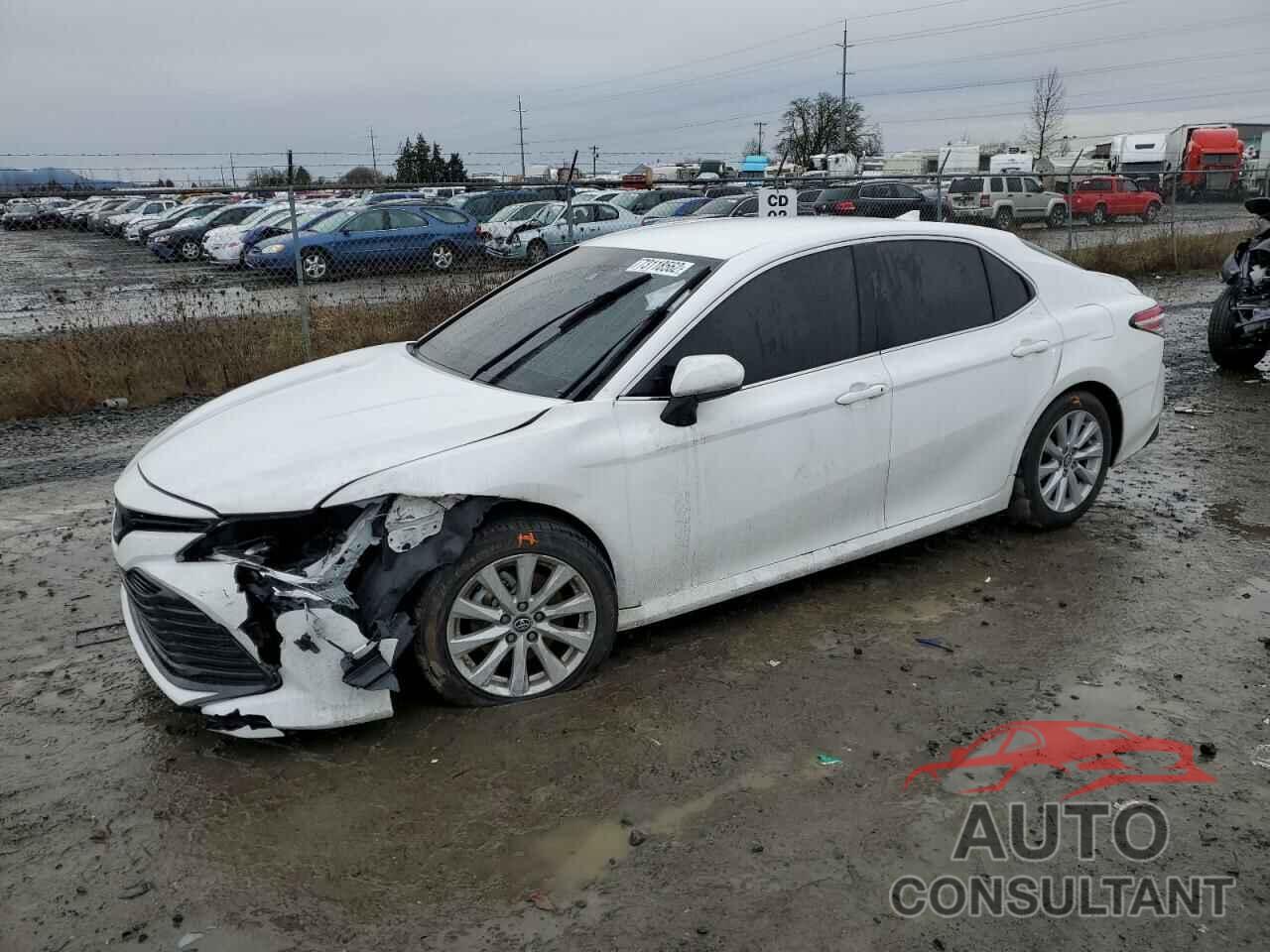 TOYOTA CAMRY 2019 - 4T1B11HK1KU683352
