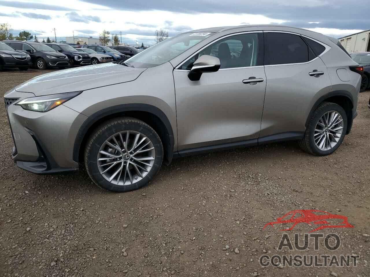 LEXUS NX 350H 2022 - 2T2GKCEZ0NC008934