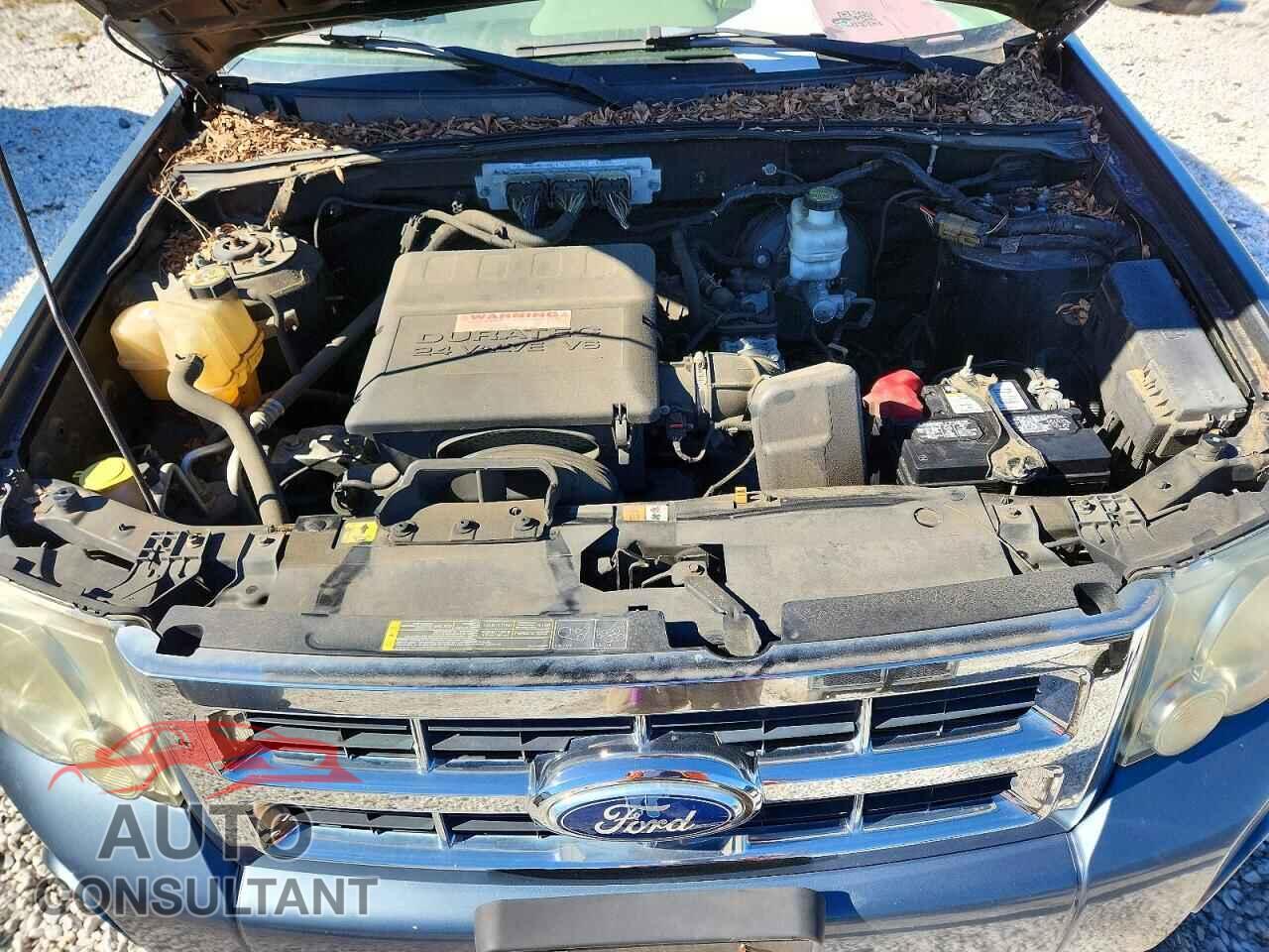 FORD ESCAPE 2011 - 1FMCU9DG8BKA42058