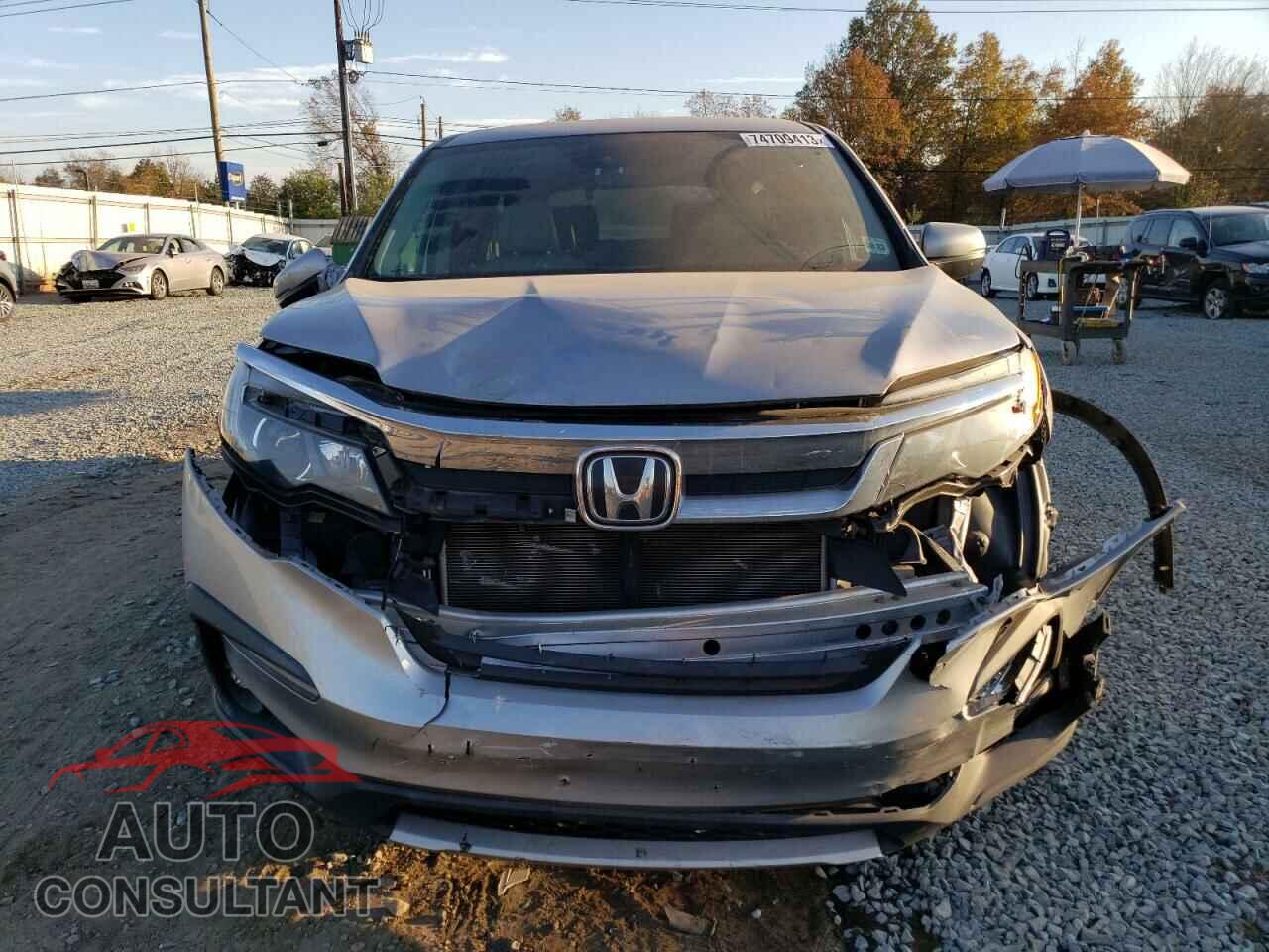 HONDA PILOT 2019 - 5FNYF6H56KB006278