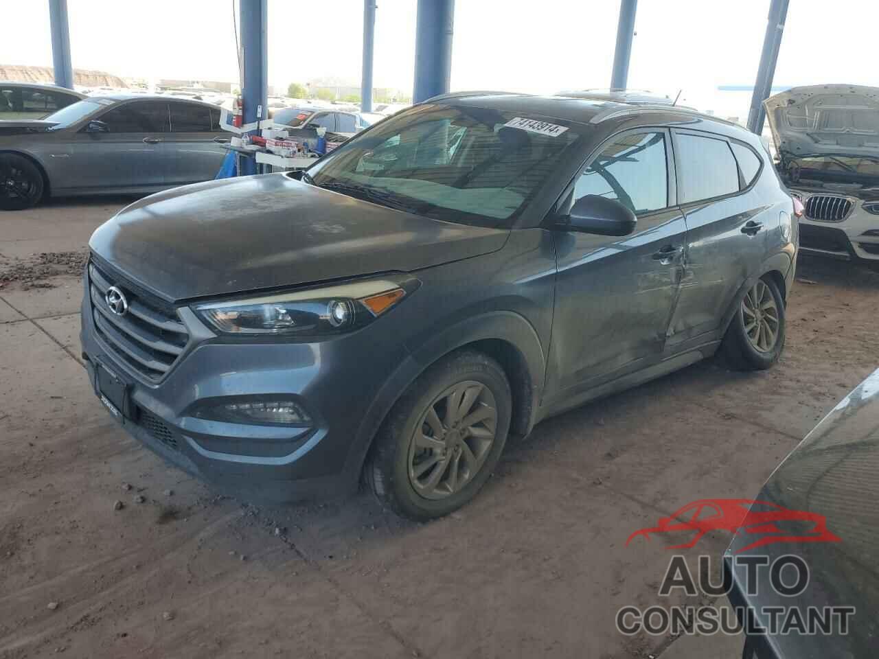 HYUNDAI TUCSON 2016 - KM8J33A44GU027294