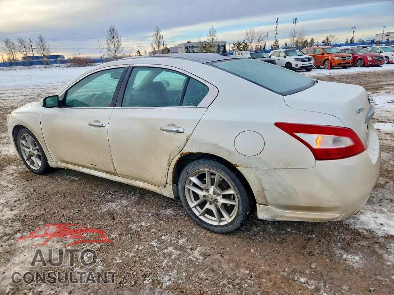 NISSAN MAXIMA 2009 - 1N4AA51E09C858904