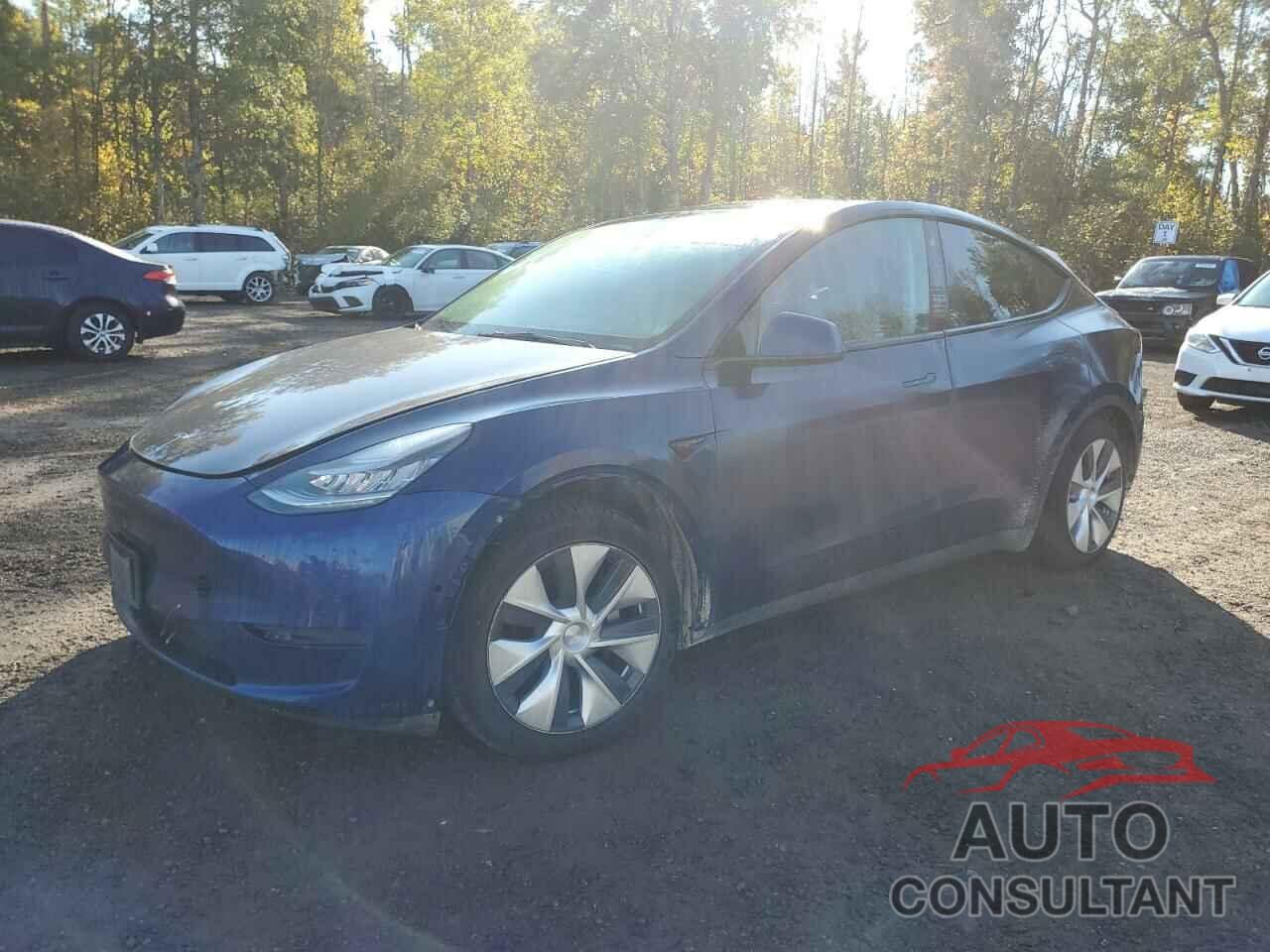 TESLA MODEL Y 2021 - 5YJYGAEE9MF185312