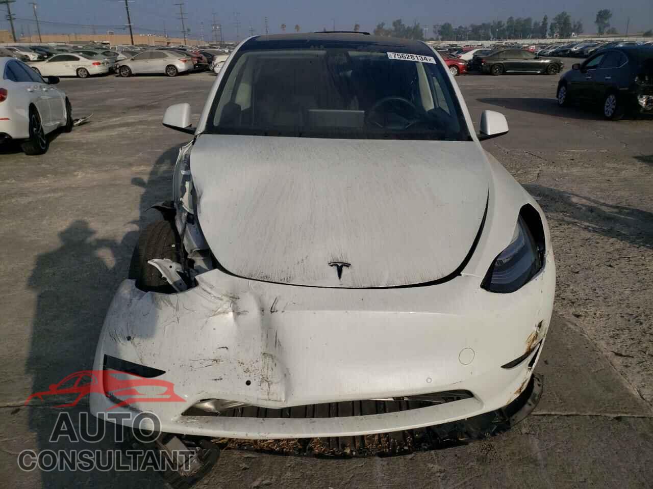 TESLA MODEL Y 2022 - 7SAYGDEE0NF407211