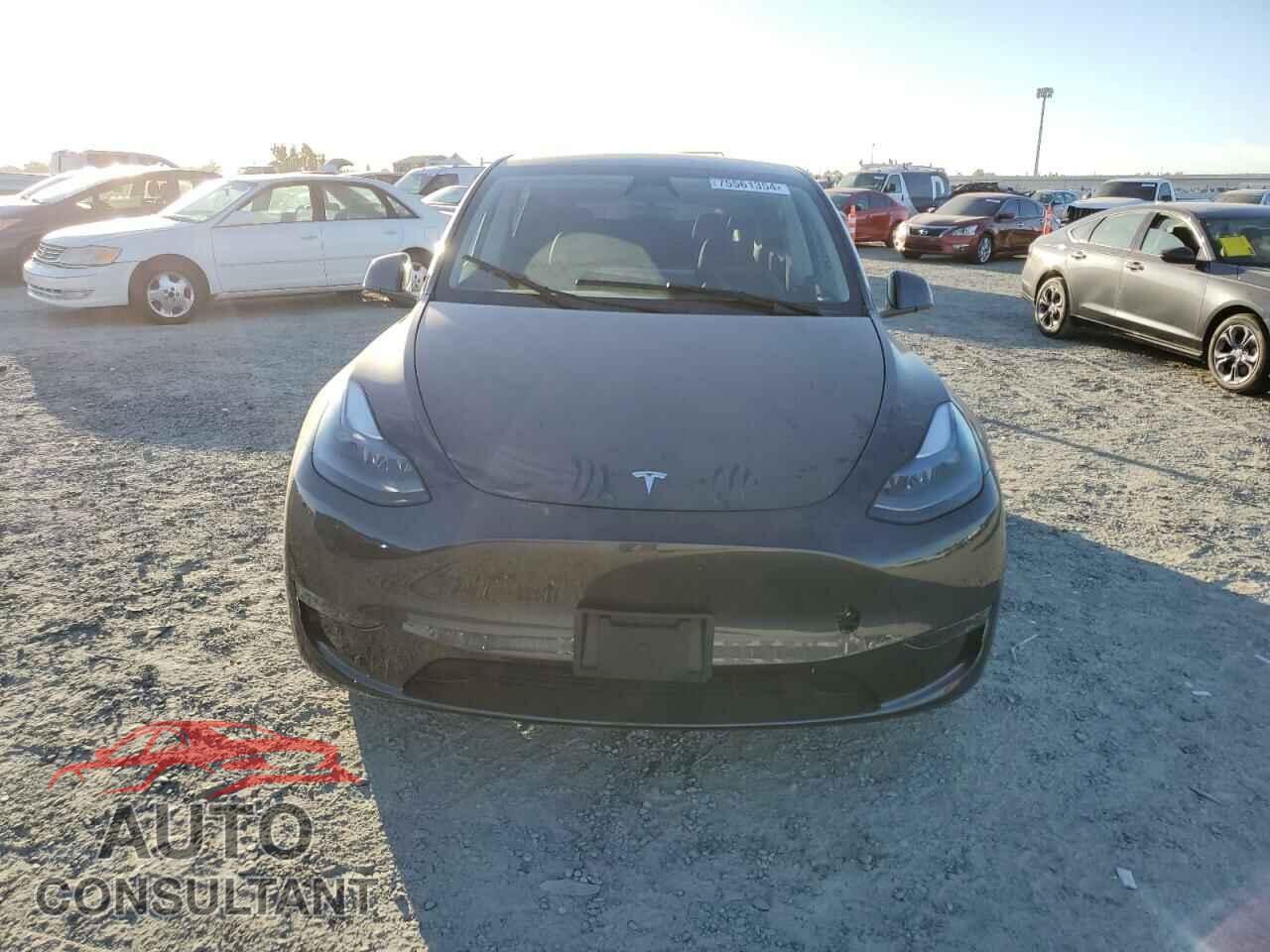 TESLA MODEL Y 2024 - 7SAYGDEE6RF118100