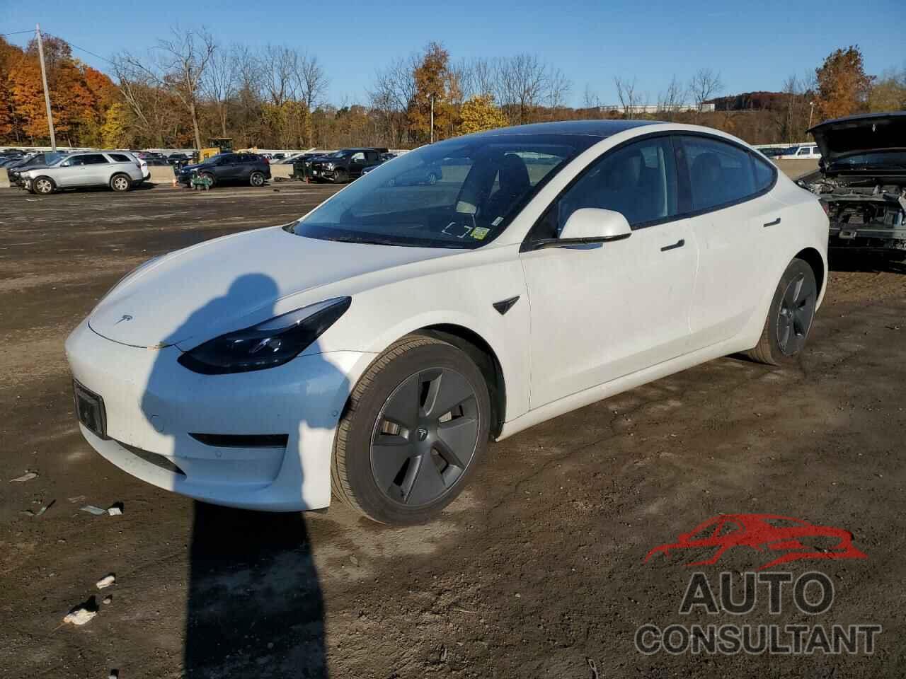 TESLA MODEL 3 2022 - 5YJ3E1EA3NF251867