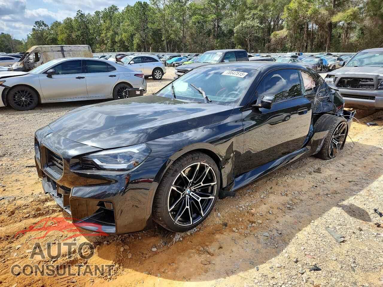 BMW M2 2024 - 3MF13DM07R8E13353