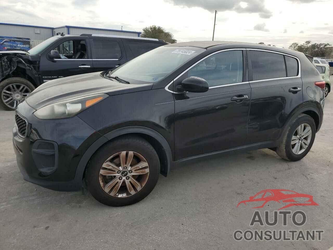 KIA SPORTAGE 2017 - KNDPM3AC0H7076267