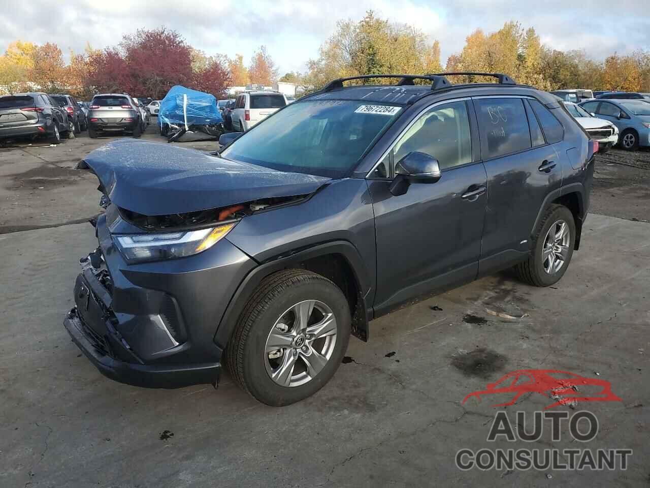 TOYOTA RAV4 2024 - JTMRWRFV9RD248069