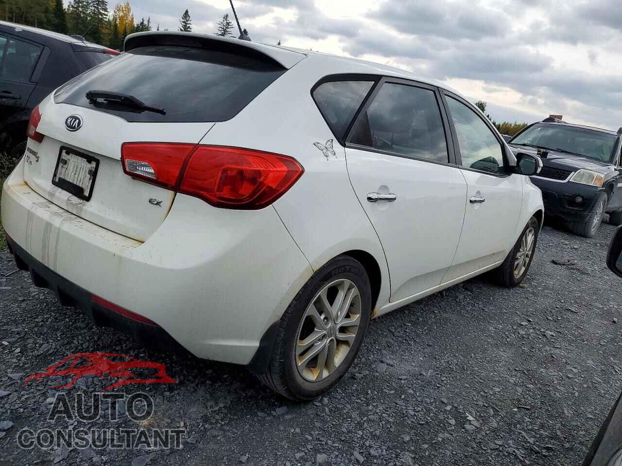 KIA FORTE 2012 - KNAFU5A29C5558252