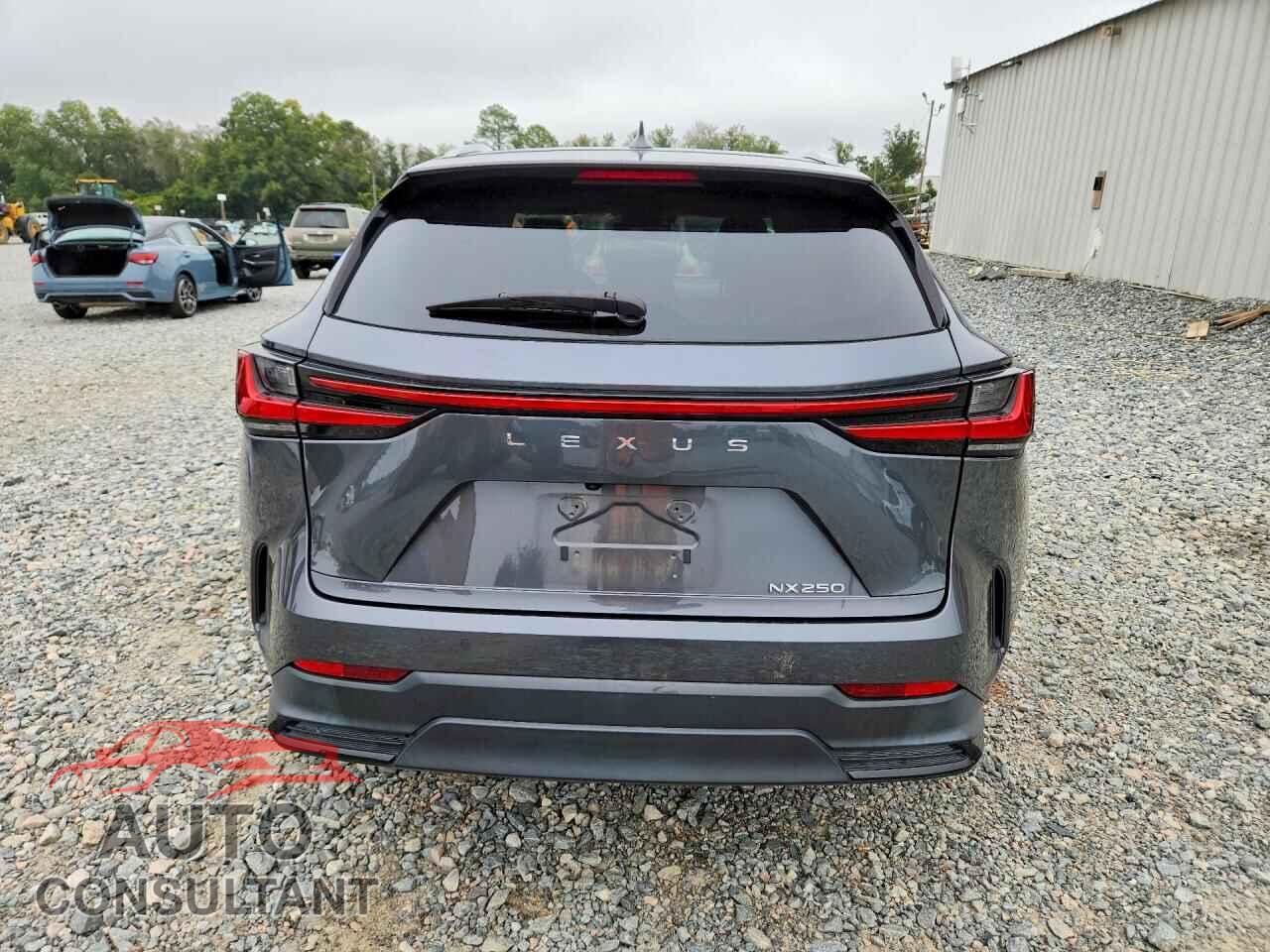 LEXUS NX 2023 - 2T2GDCAZ2PC005066