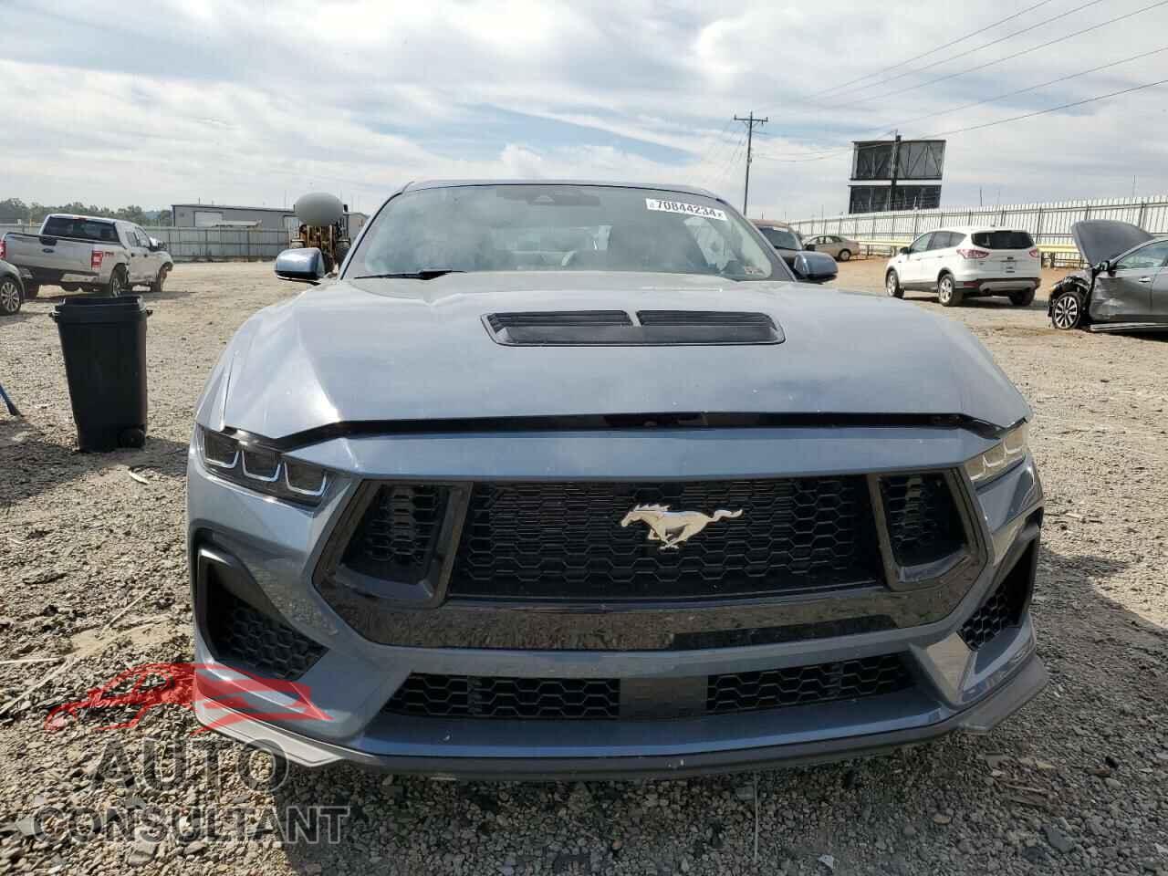 FORD MUSTANG 2024 - 1FA6P8CF8R5403024