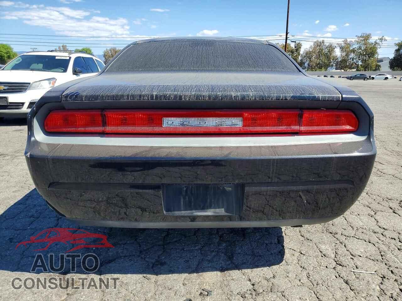 DODGE CHALLENGER 2010 - 2B3CJ4DV3AH110157