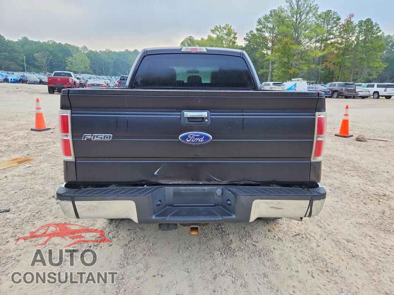 FORD F150 2013 - 1FTFW1ET6DFD89151