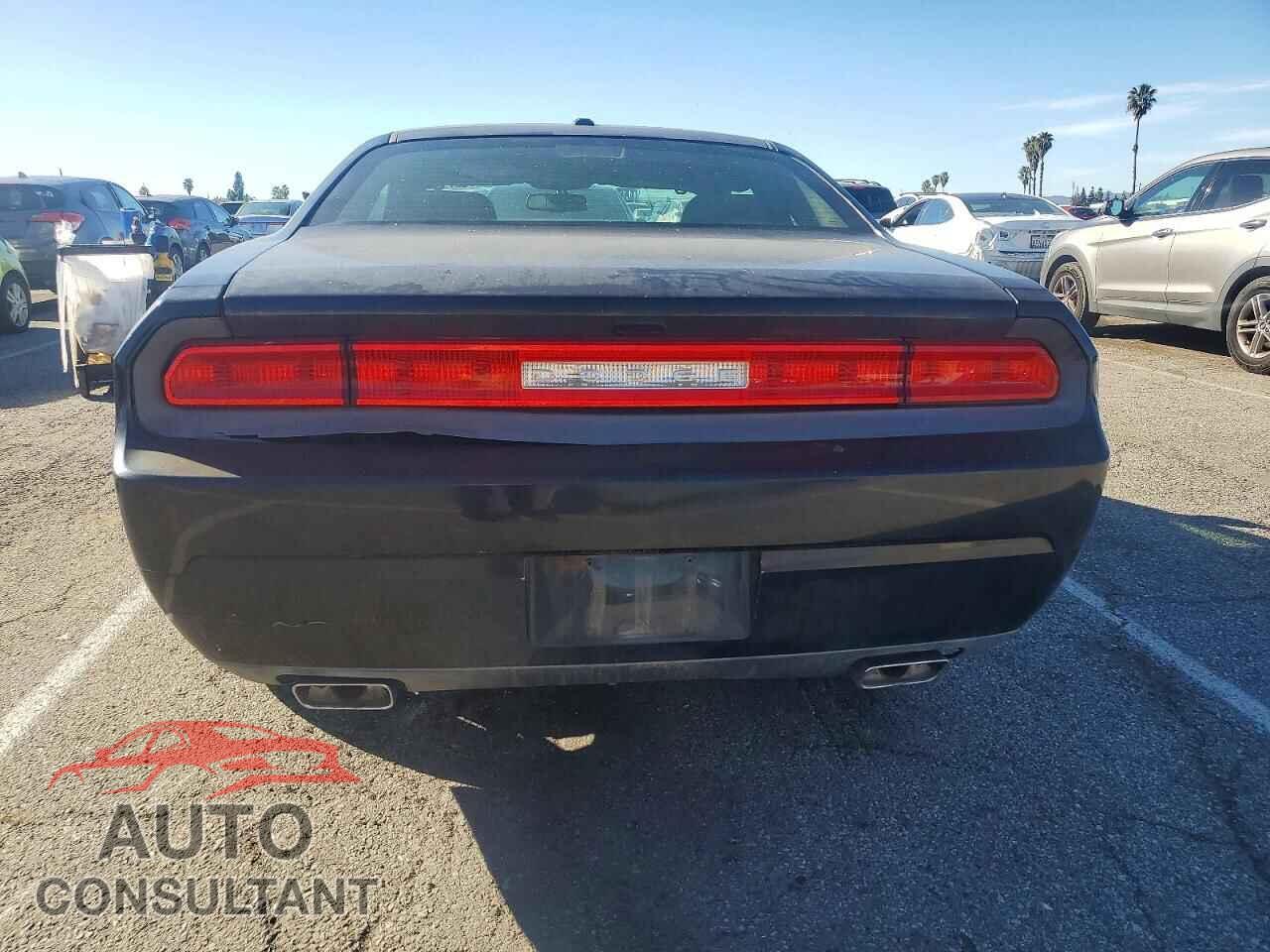 DODGE CHALLENGER 2013 - 2C3CDYAG2DH737170