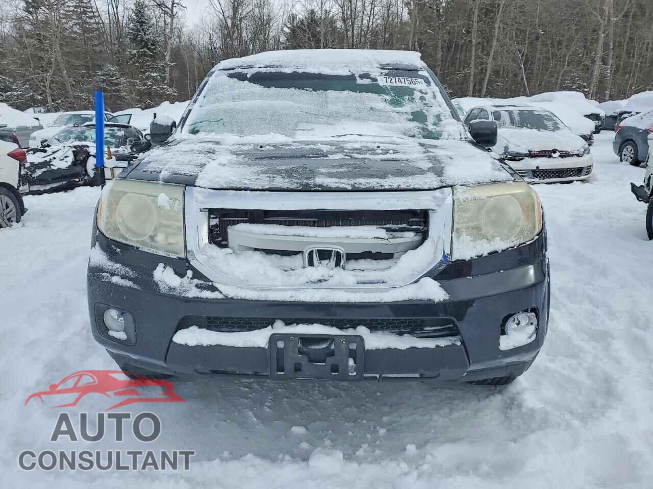 HONDA PILOT 2009 - 5FNYF38559B007530