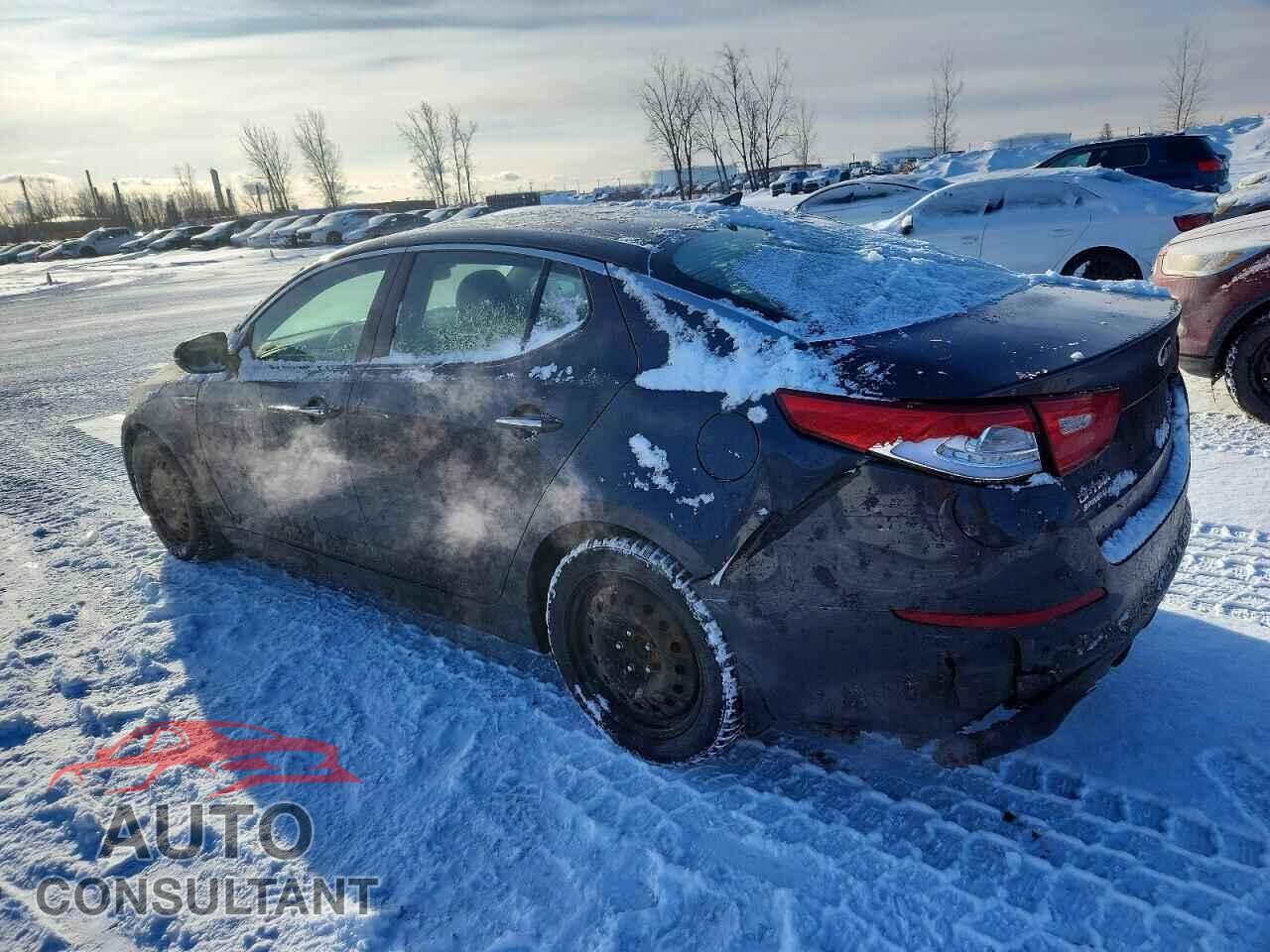 KIA OPTIMA 2014 - KNAGR4A63E5459240