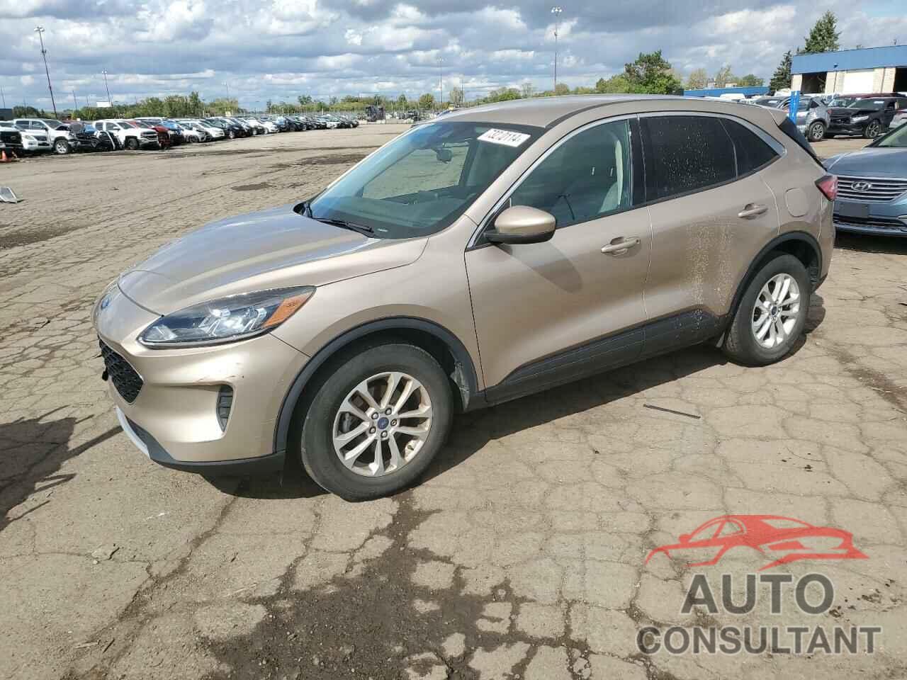 FORD ESCAPE 2020 - 1FMCU9G64LUC16894