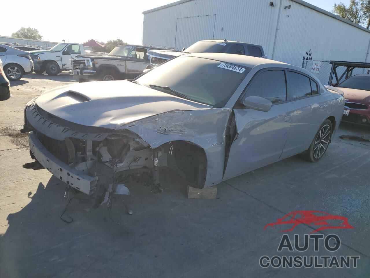 DODGE CHARGER 2020 - 2C3CDXCT9LH224159