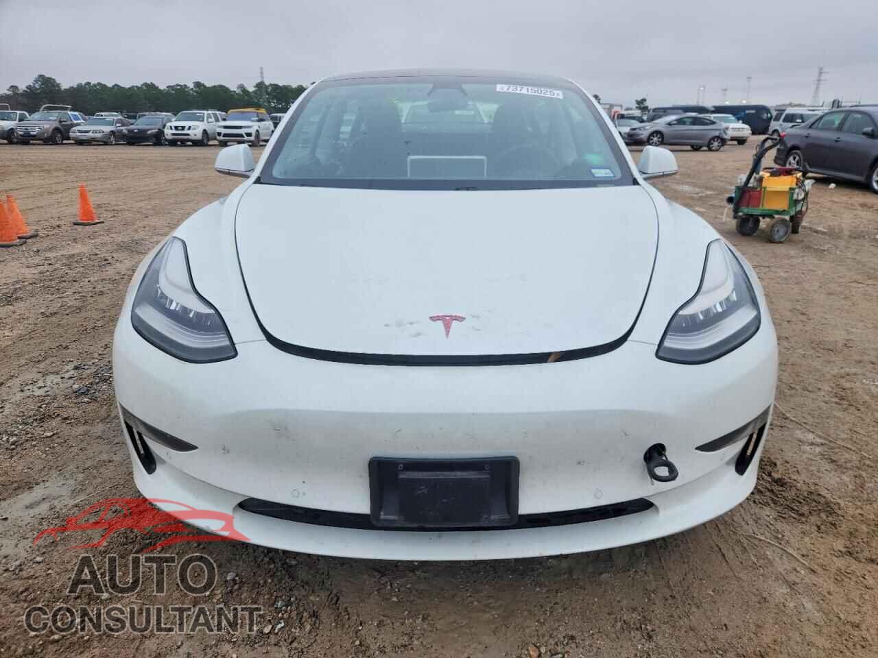 TESLA MODEL 3 2020 - 5YJ3E1EA7LF799982