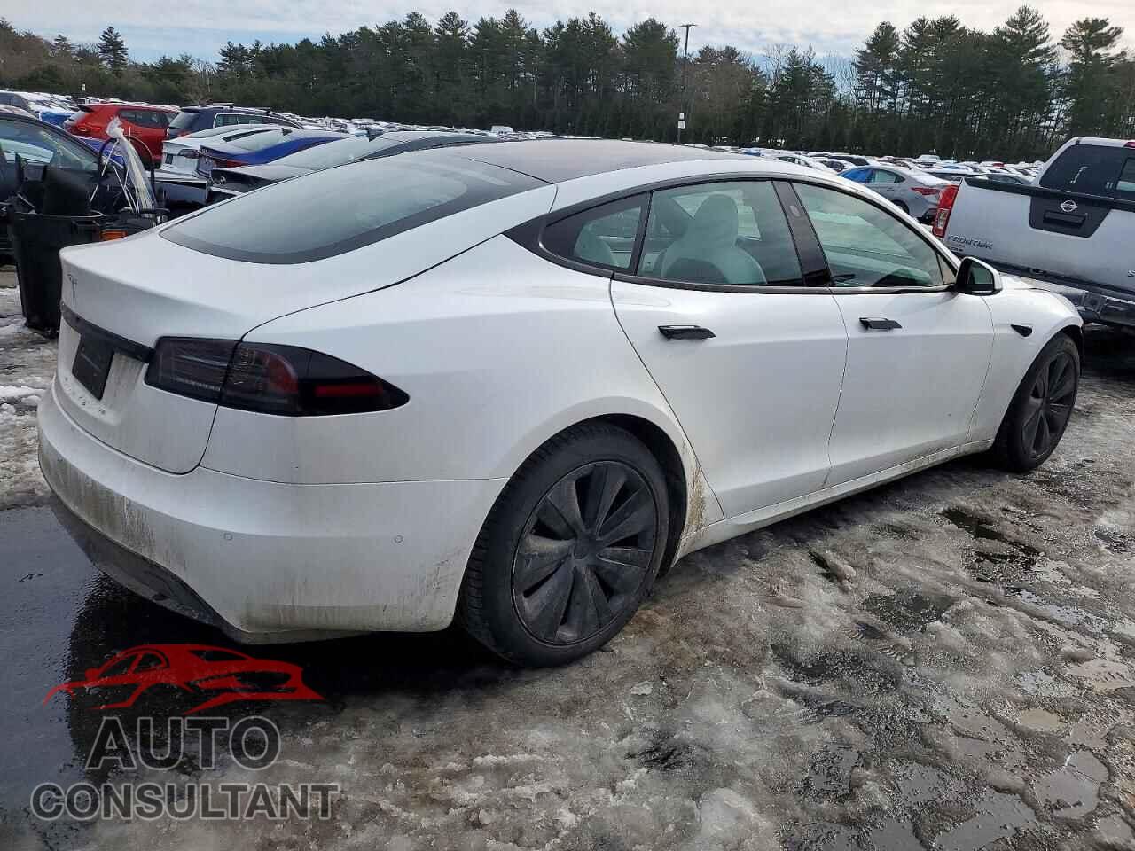 TESLA MODEL S 2022 - 5YJSA1E50NF489895