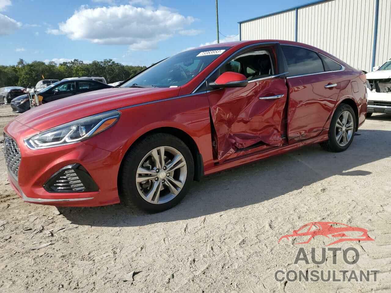 HYUNDAI SONATA 2019 - 5NPE34AF0KH814081