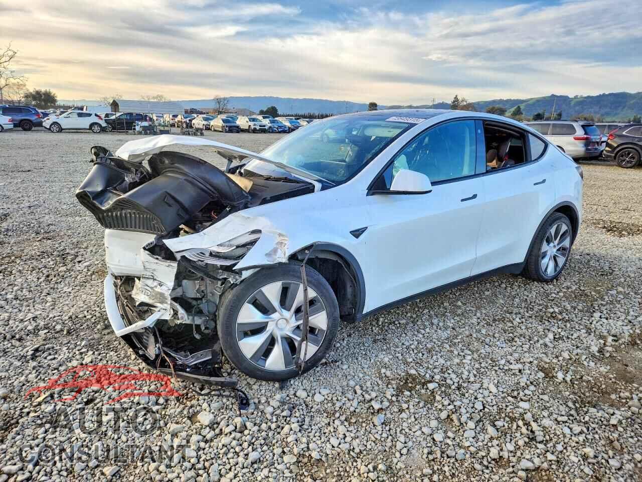 TESLA MODEL Y 2021 - 5YJYGDEE2MF096683