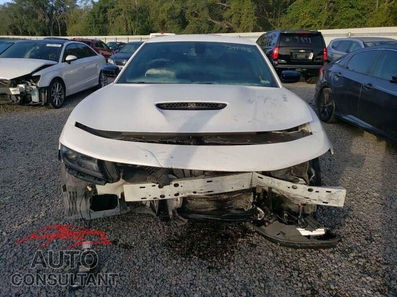 DODGE CHARGER 2019 - 2C3CDXCT1KH570351