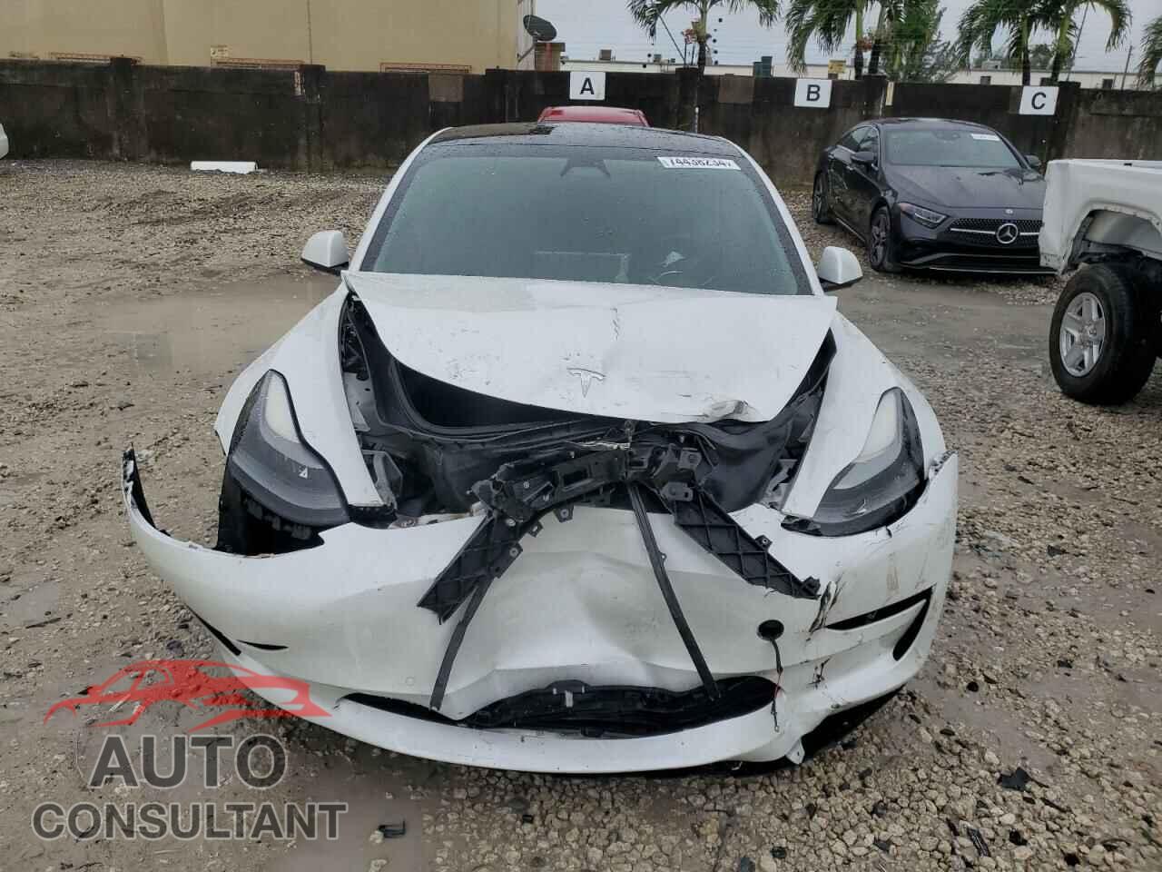TESLA MODEL 3 2021 - 5YJ3E1EA3MF907922