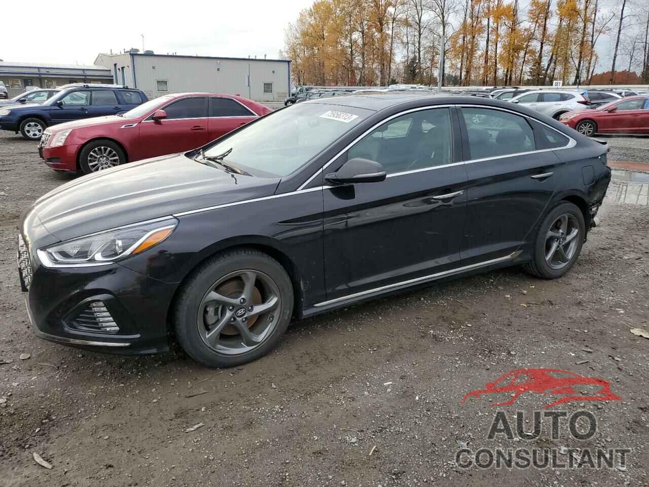 HYUNDAI SONATA 2018 - 5NPE34AF5JH628373
