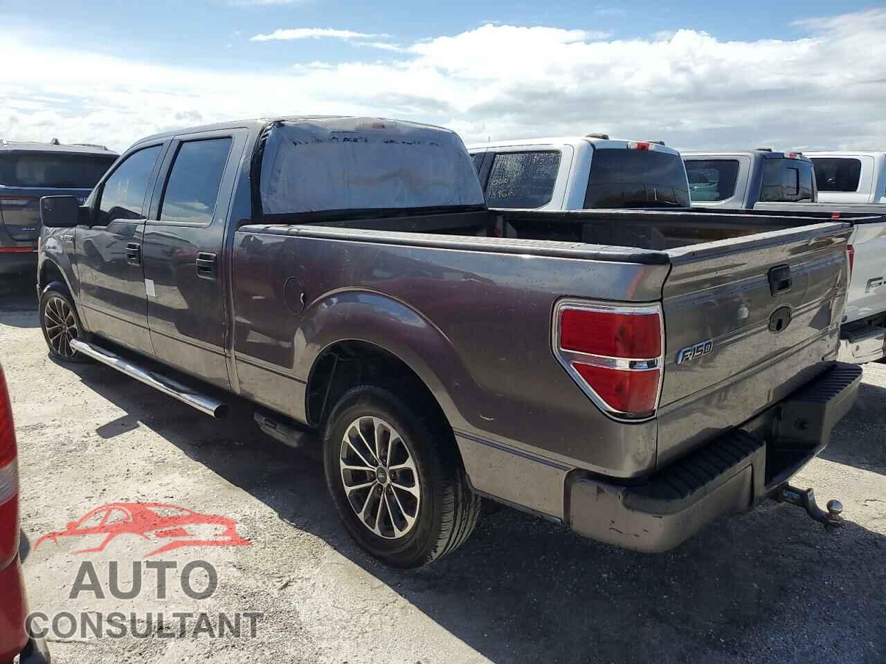 FORD F-150 2012 - 1FTFW1CF8CFA09853