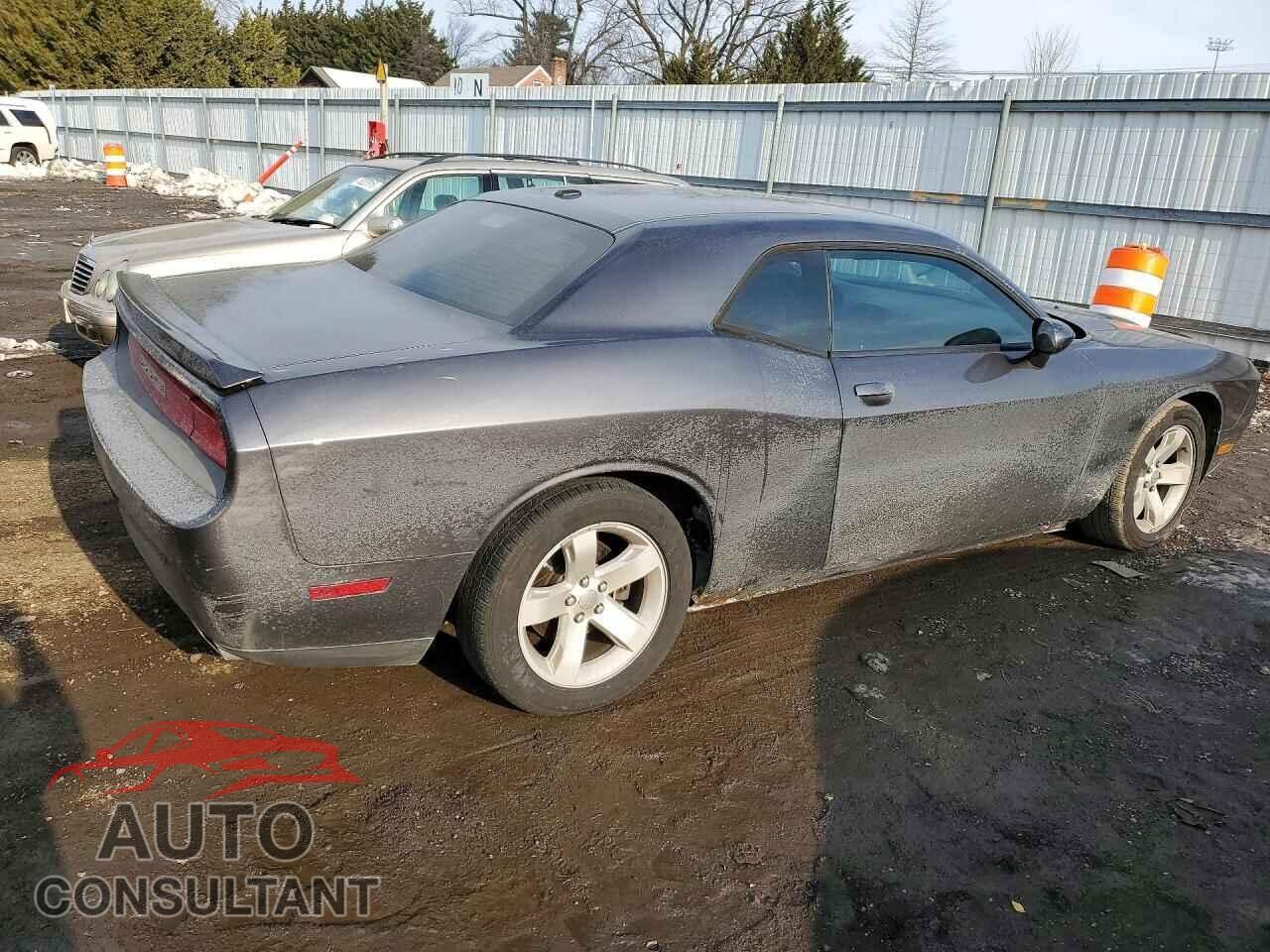 DODGE CHALLENGER 2013 - 2C3CDYBT1DH548201