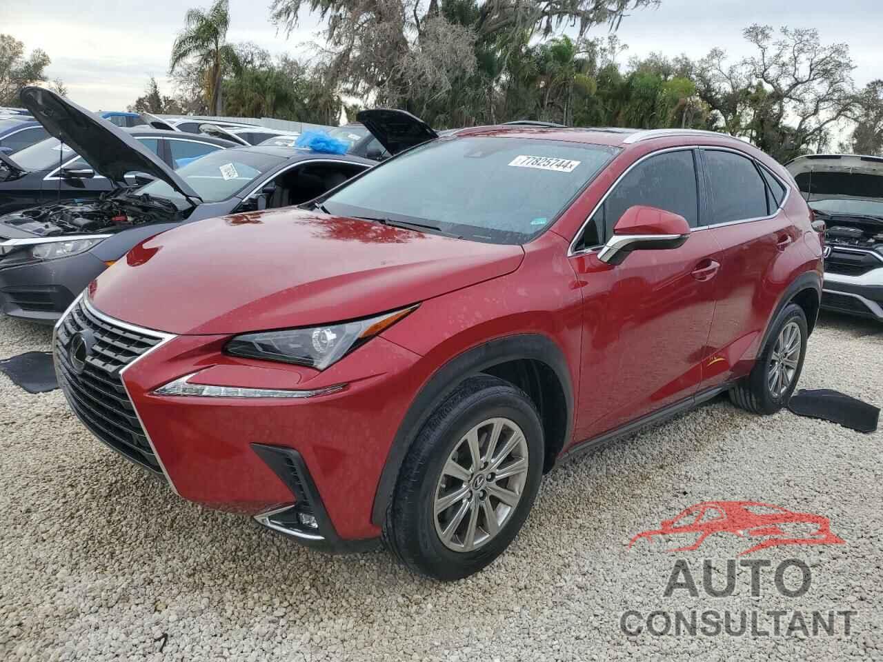 LEXUS NX 2020 - JTJDARBZ1L5011253