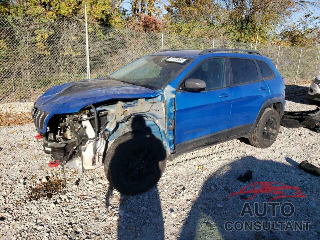 JEEP CHEROKEE 2019 - 1C4PJMBX4KD336971