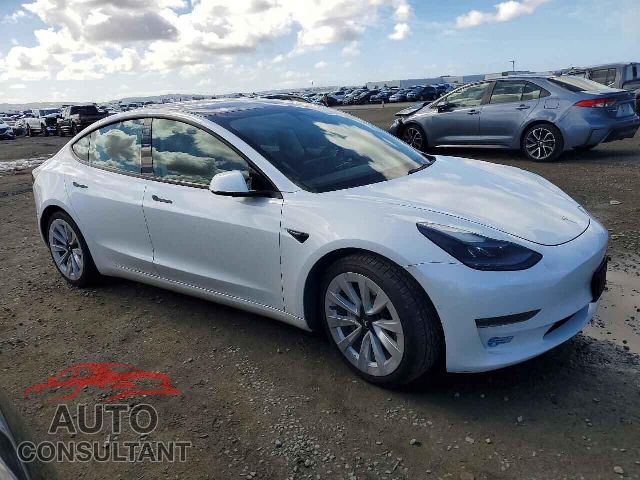TESLA MODEL 3 2021 - 5YJ3E1EA3MF066619