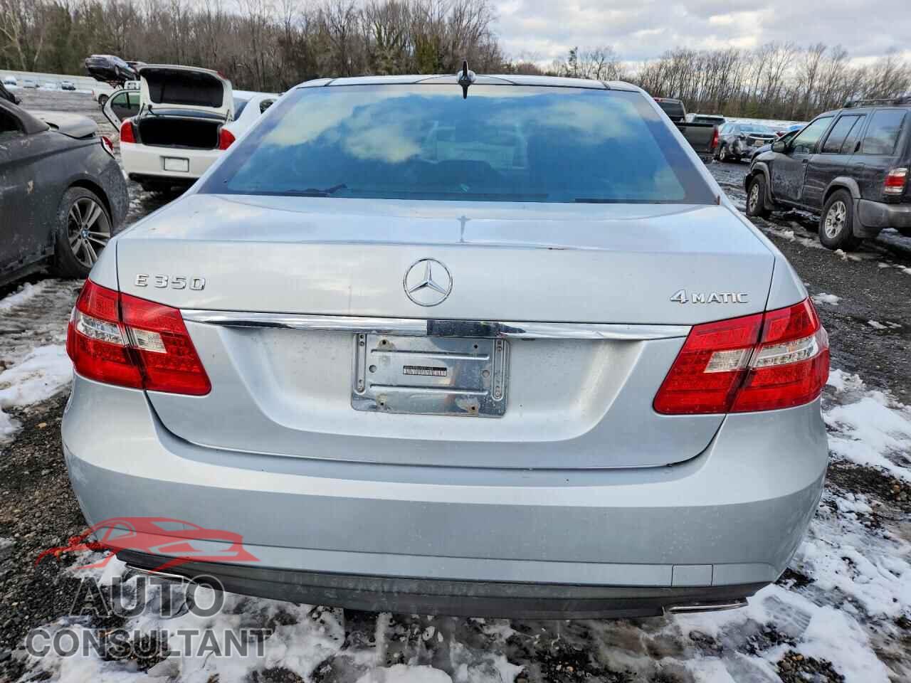 MERCEDES-BENZ E-CLASS 2010 - WDDHF8HB2AA231828
