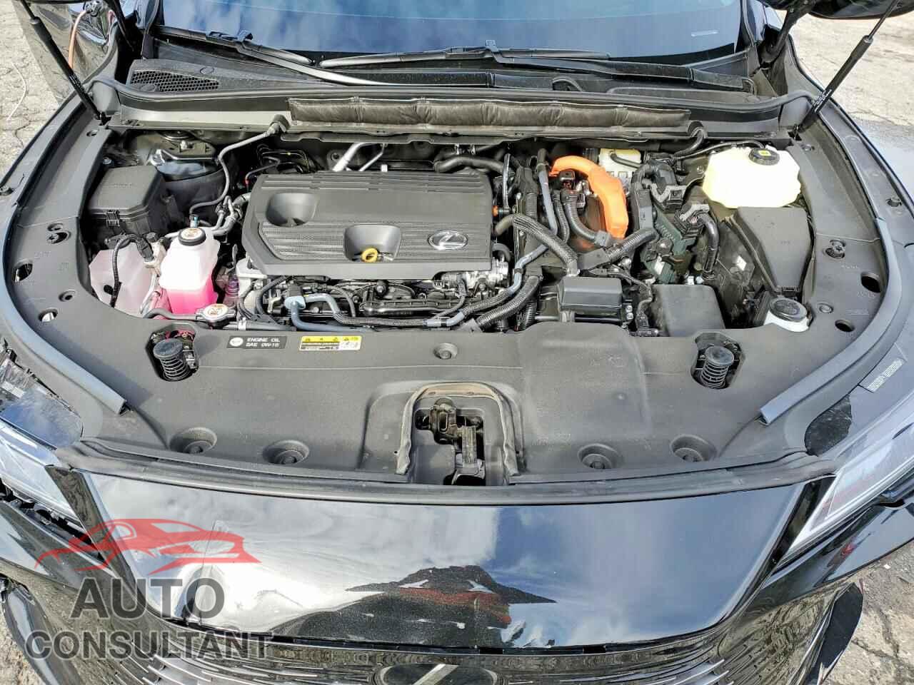 LEXUS UNKNOWN 2026 - 2T2BBMCA8TC105616