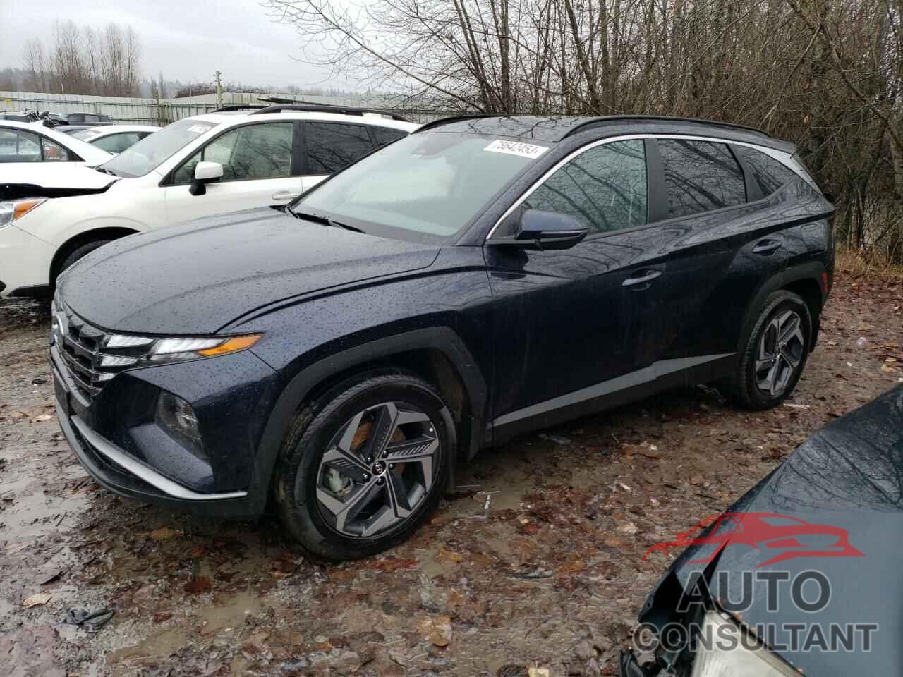 HYUNDAI TUCSON 2023 - KM8JFCA14PU092210