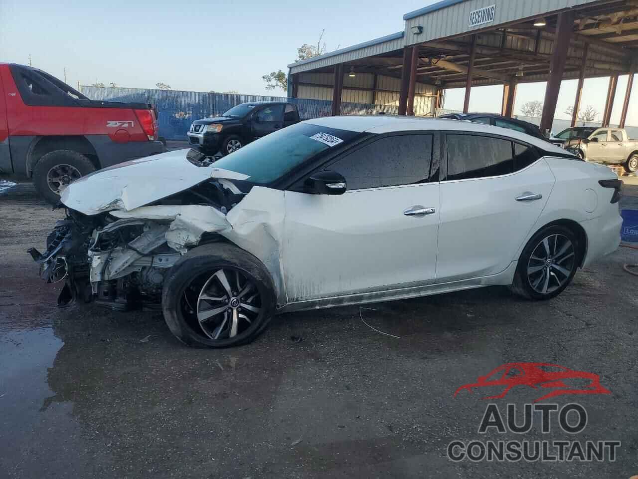 NISSAN MAXIMA 2019 - 1N4AA6AV2KC361901