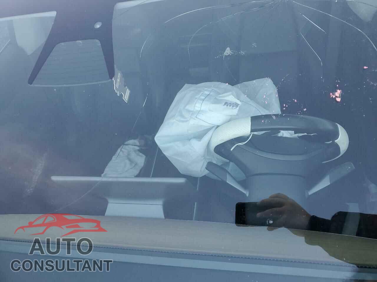 TESLA MODEL 3 2020 - 5YJ3E1EA3LF625486