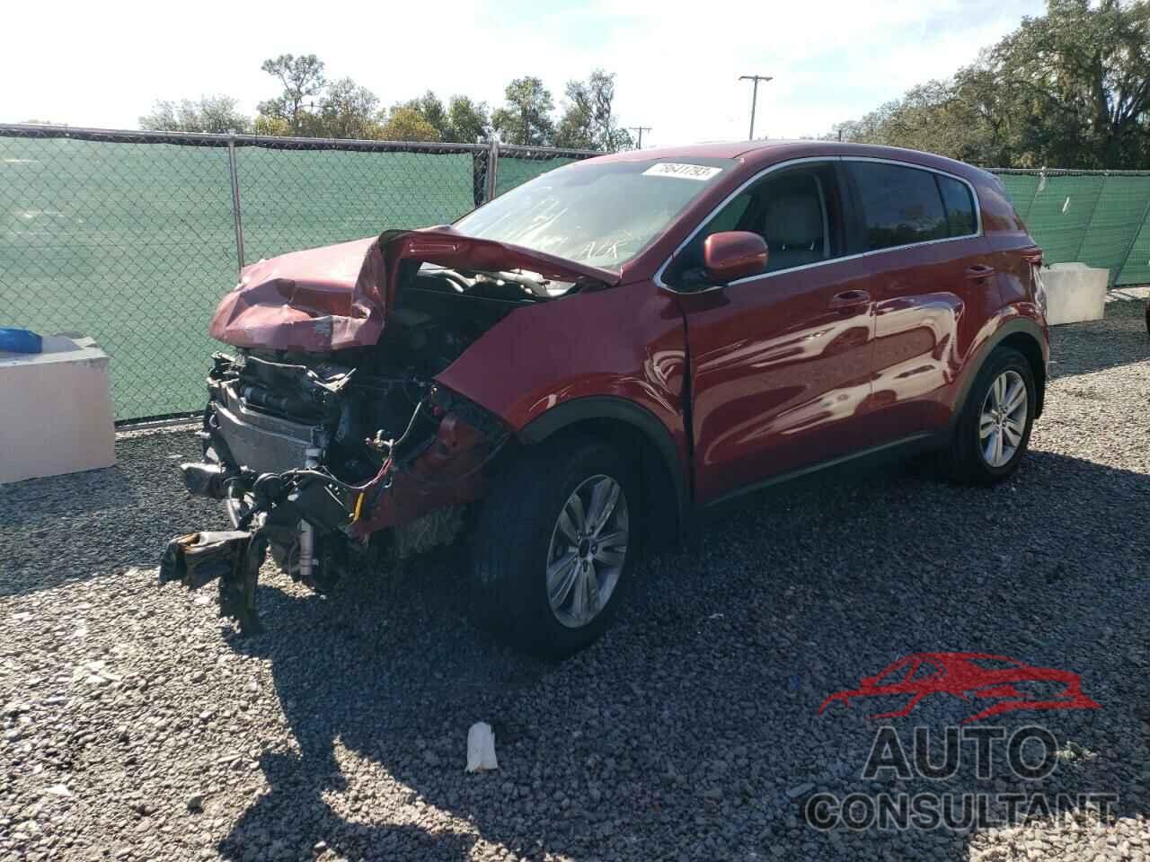 KIA SPORTAGE 2019 - KNDPM3AC8K7628444
