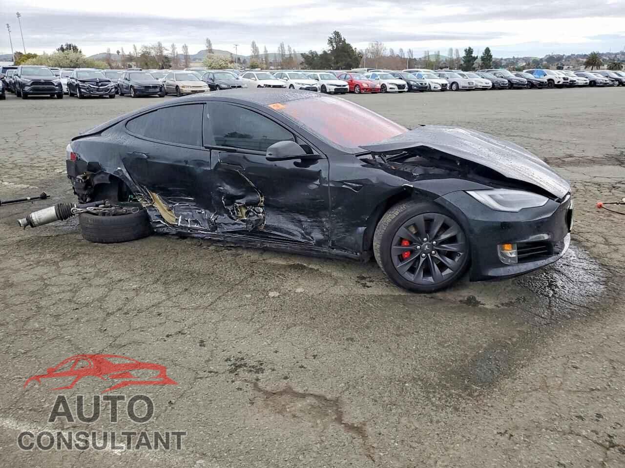 TESLA MODEL S 2019 - 5YJSA1E43KF335149