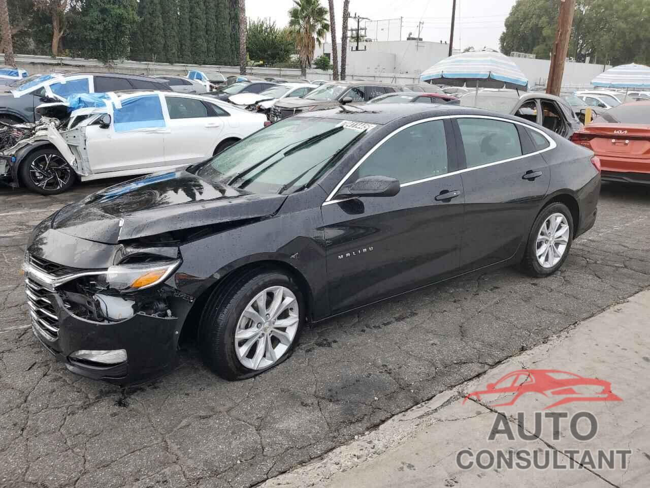 CHEVROLET MALIBU 2024 - 1G1ZD5STXRF167047
