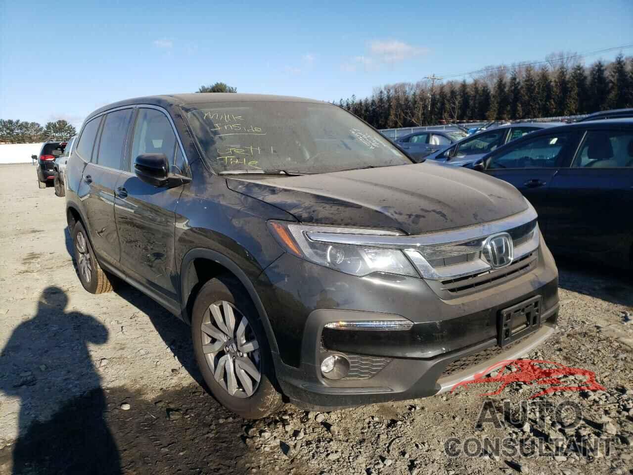 HONDA PILOT 2019 - 5FNYF6H51KB050933