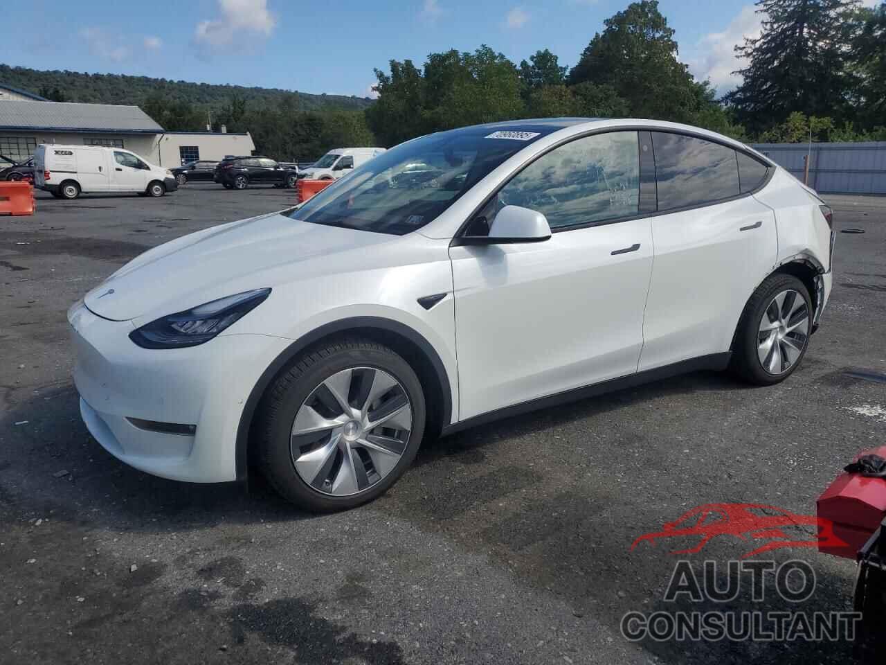 TESLA MODEL Y 2021 - 5YJYGDEE2MF142609