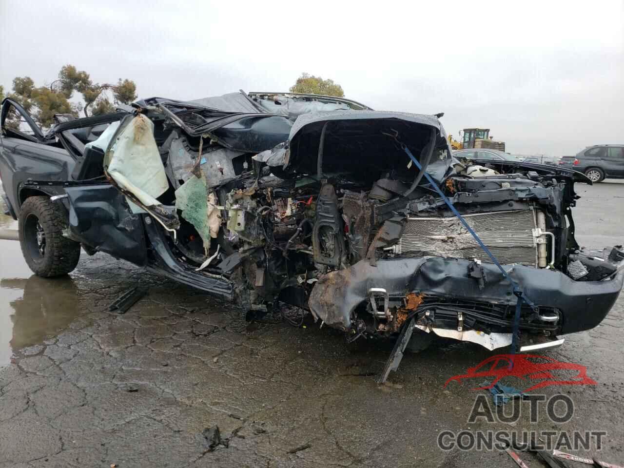 CHEVROLET SILVERADO 2020 - 1GC4YREY5LF121850