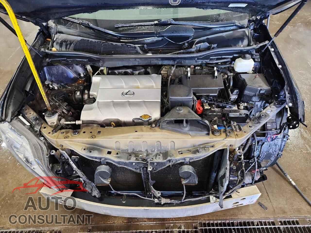 LEXUS RX350 2010 - 2T2BK1BA3AC044012