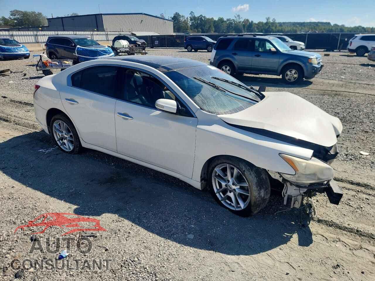 NISSAN MAXIMA 2009 - 1N4AA51E09C854769